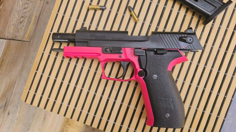 Sig Sauer Mosquito: petit, mignon, mais pas en plastique