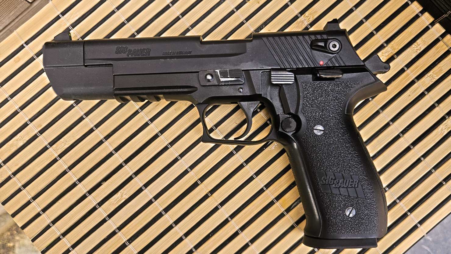 sig sauer mosquito sport sur fond boisé