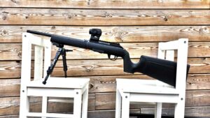 Hammerli force b1 sur fond boisé